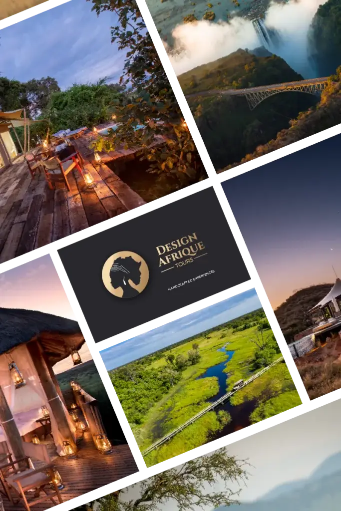 Design Afrique travel brand and website project by Nu Signature