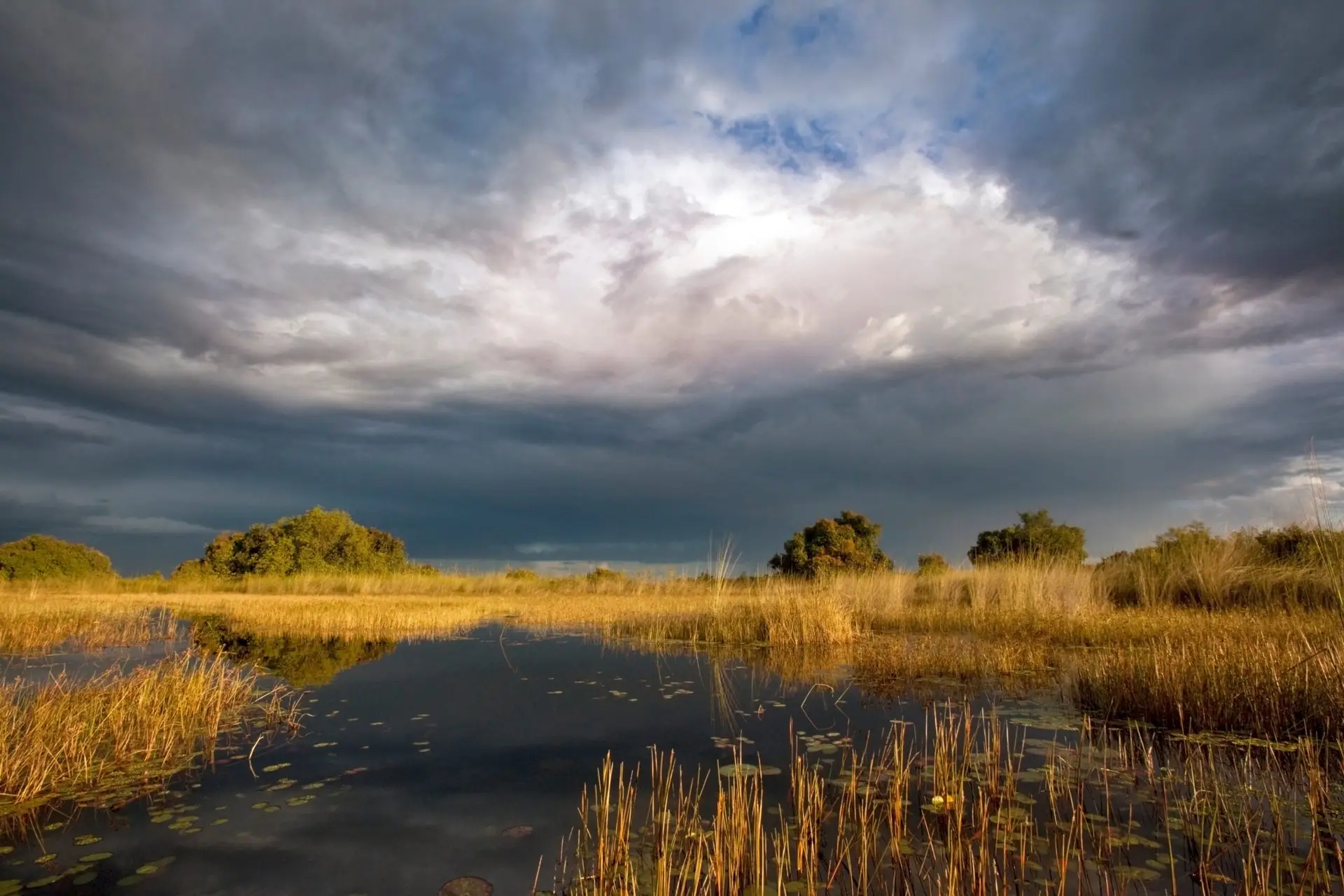 Storm clouds above golden reeds and still water in Botswana’s Okavango Delta.